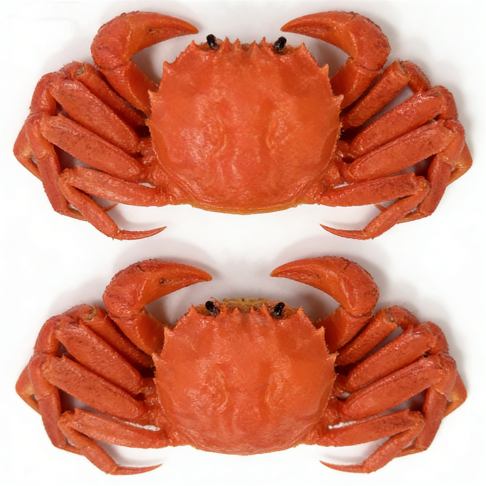 15cm Plastic Red Cooked Blue C - огляд і ціна Home Cooking Shows
