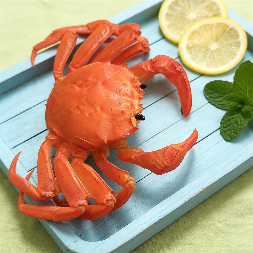 15cm Plastic Red Cooked Blue C - огляд і ціна Home Cooking Shows